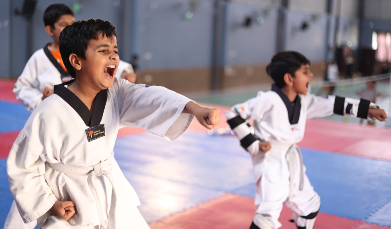 Multisports Academy
